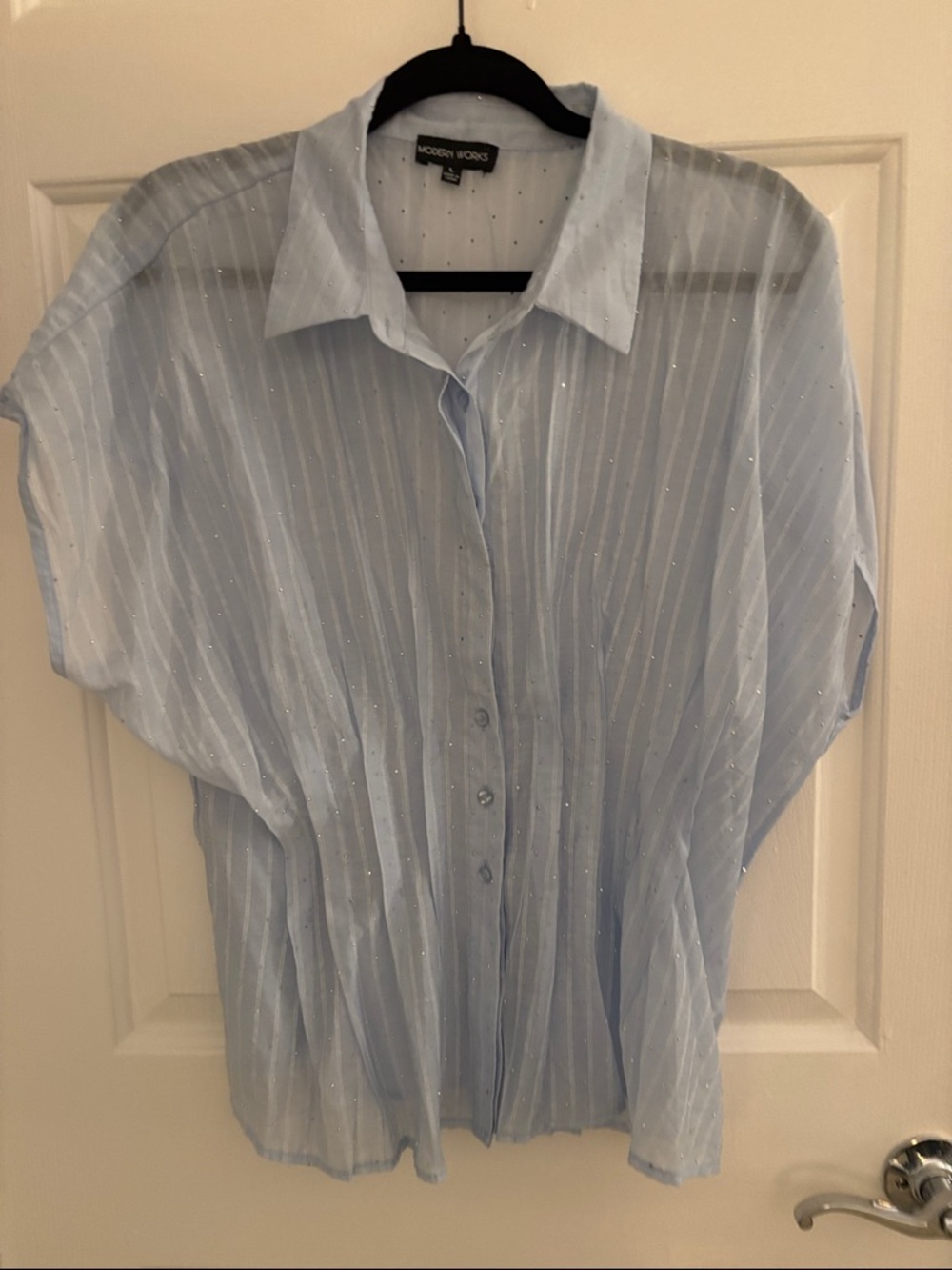 Modern Works Light Blue Sheer Button-Down Blouse